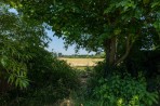 Paygate Cottages, Lewes