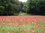 Ranscombe Lane, Glynde