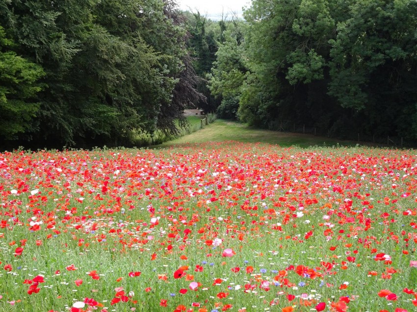 Images for Ranscombe Lane, Glynde