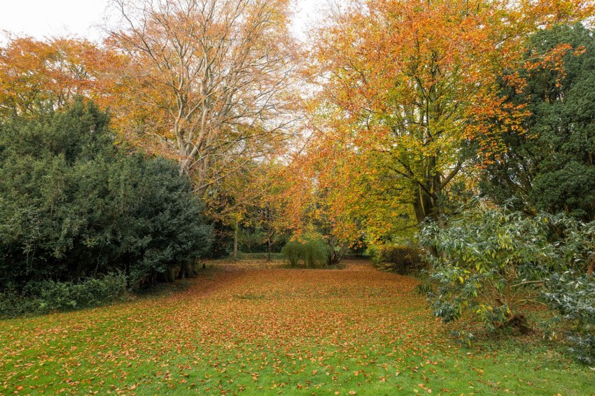 Images for Ranscombe Lane, Glynde